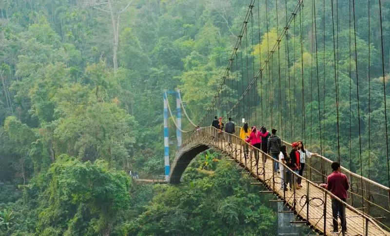 Meghalaya living root bridges