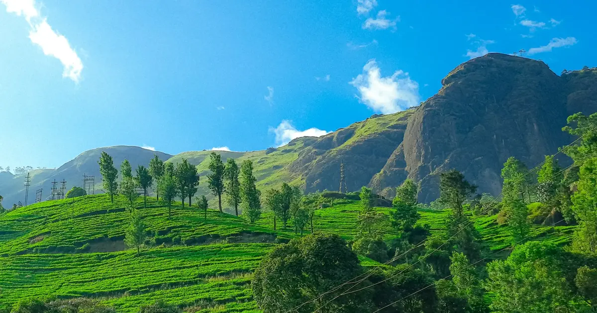Senior-Friendly Travel from Bangalore: A Practical Checklist for Adults Travelling with Parents