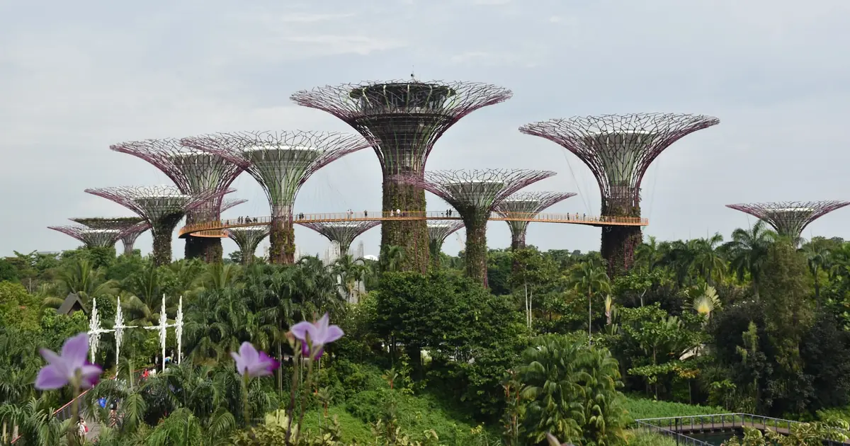 Two Countries, One Honeymoon: Singapore and Malaysia Done Properly from Bangalore