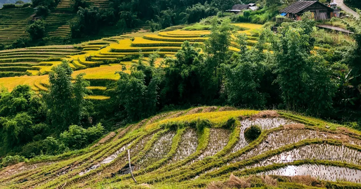 I Keep Going Back to Vietnam: Notes from Leading Our Bangalore Groups