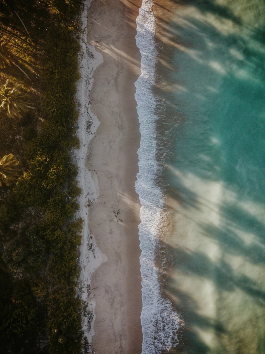 Aerial view of a sandy Andaman beach and turquoise water