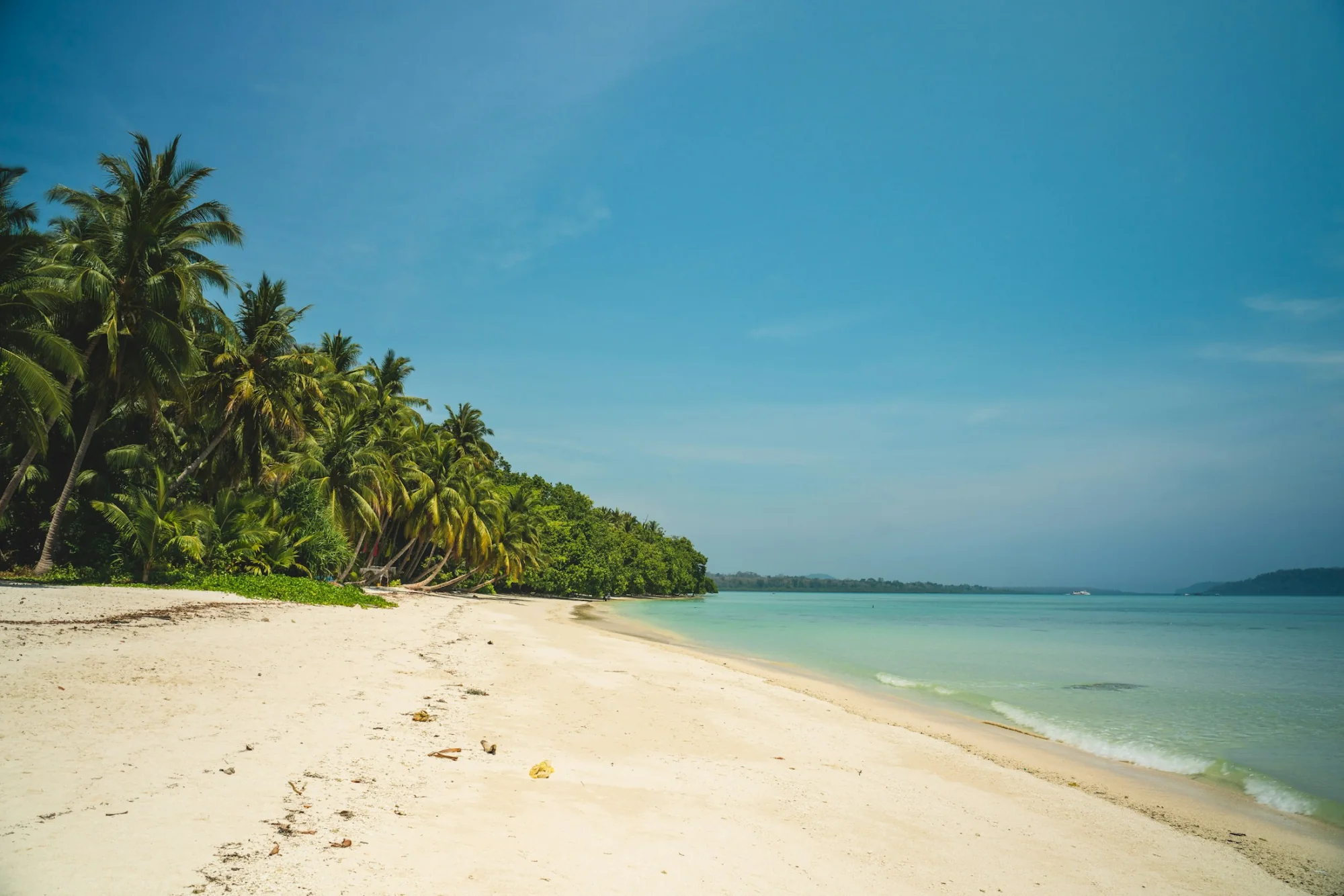 A white-sand, palm-fringed beach in the Andaman Islands