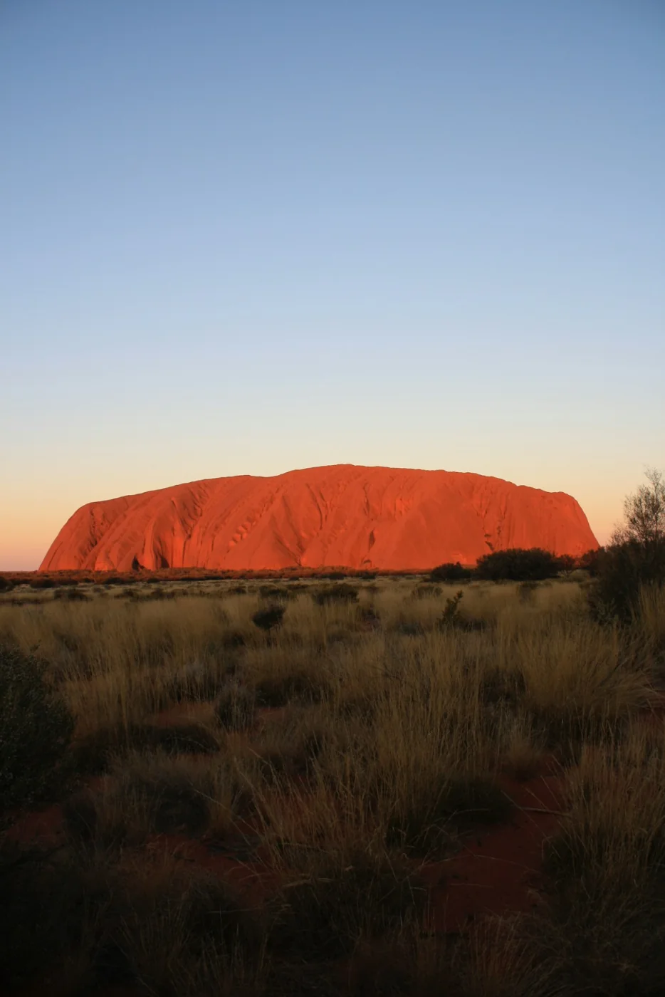Uluru glowing at sunset in the Australian outback