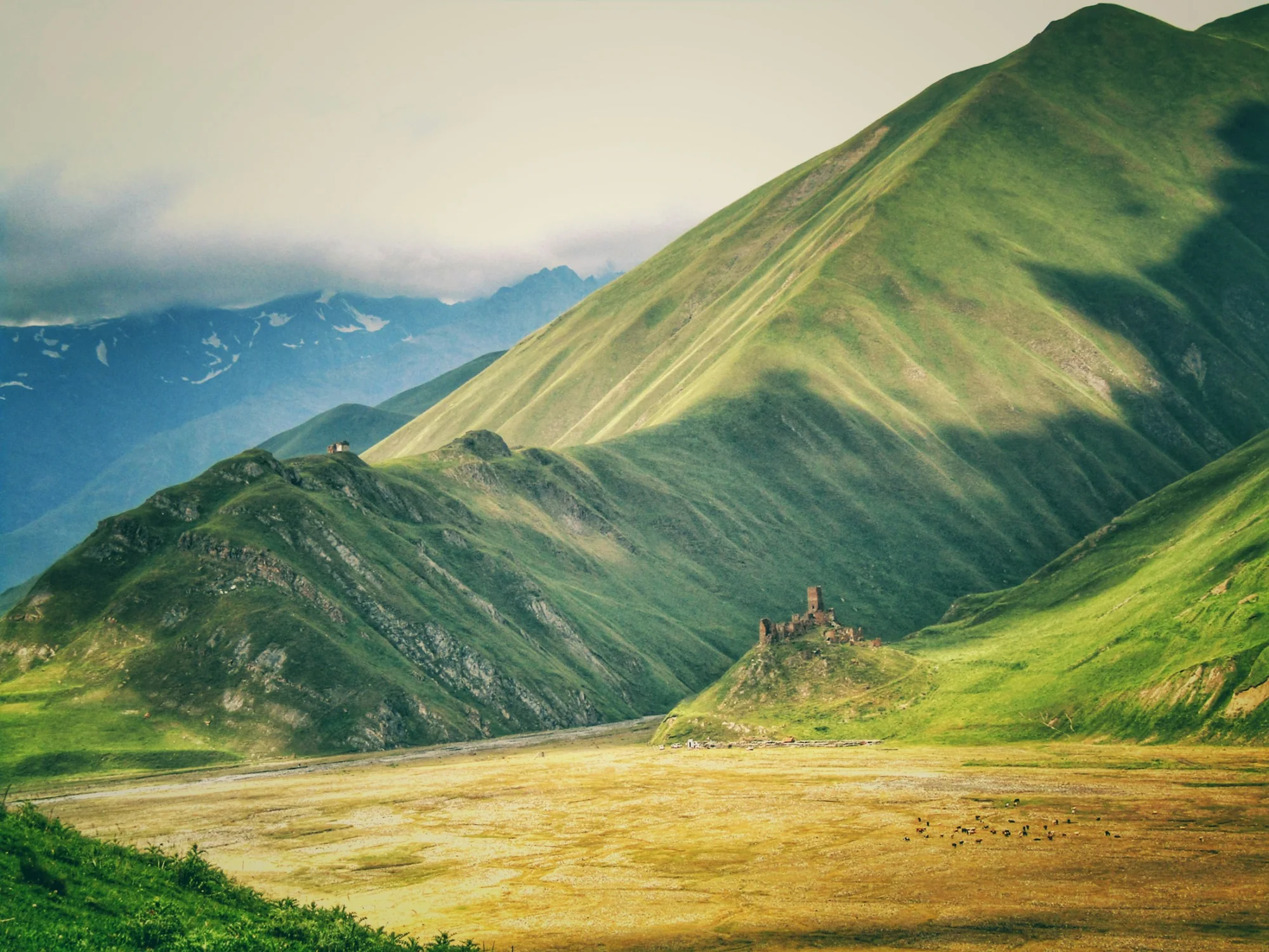 Green peaks of the Caucasus mountains in Georgia
