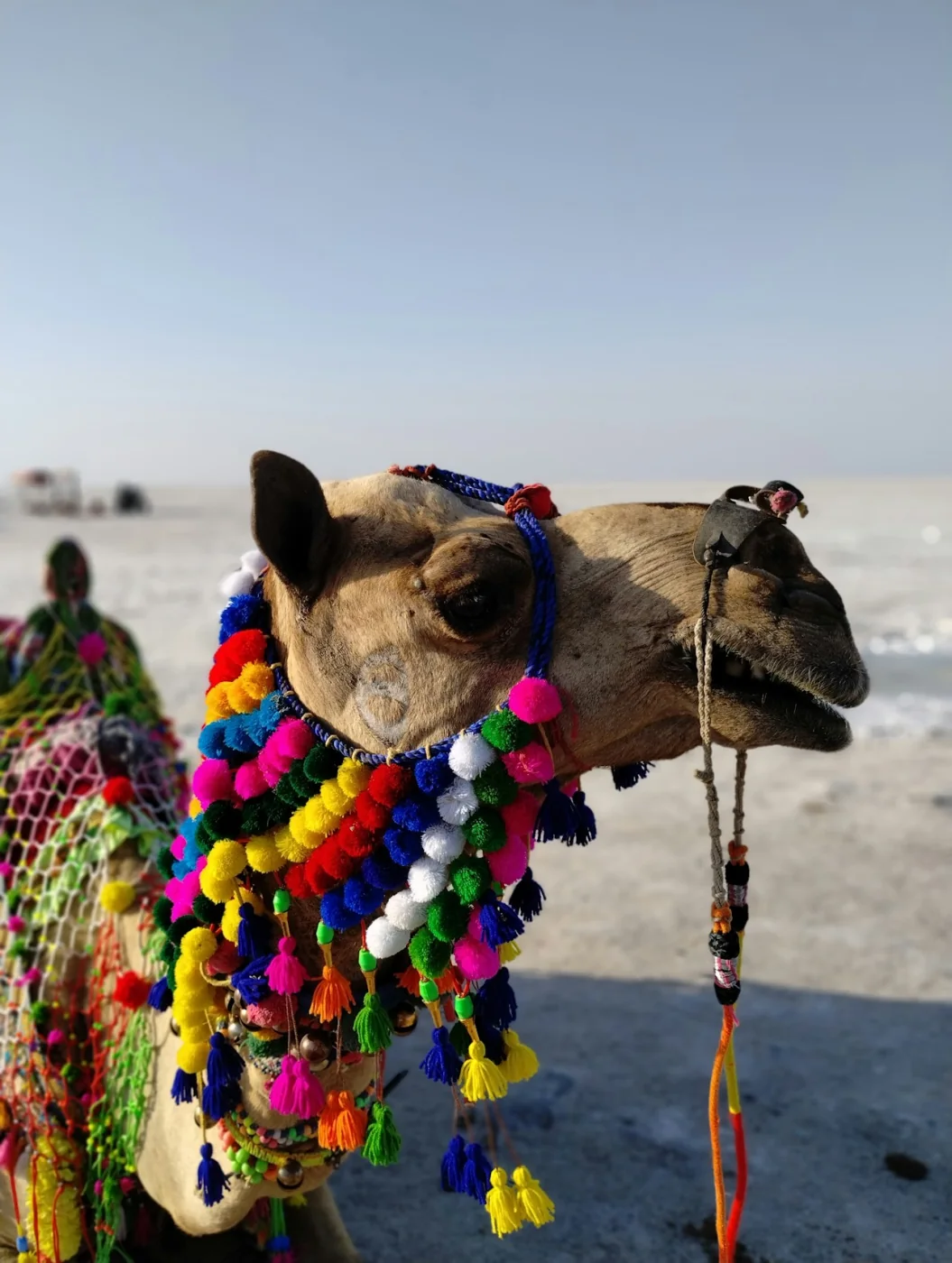 Gujarat