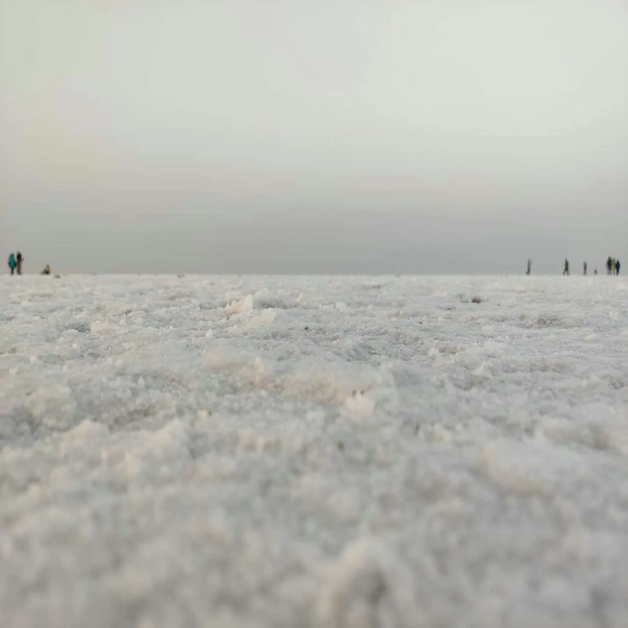 The white salt desert of the Rann of Kutch in Gujarat