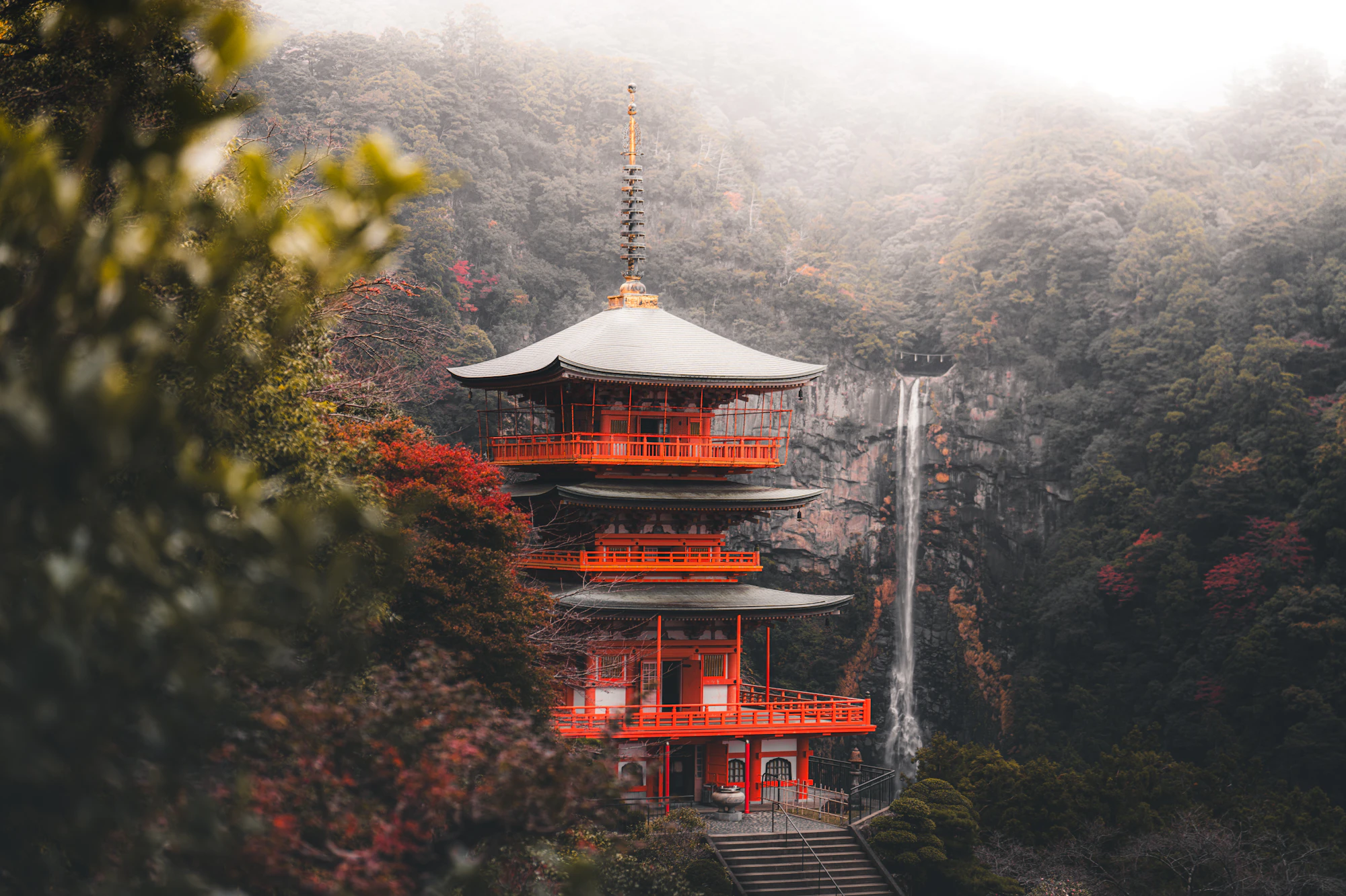Japan Autumn Special Group Tour