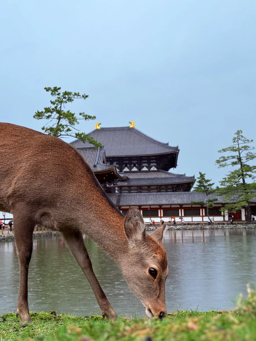 Nara