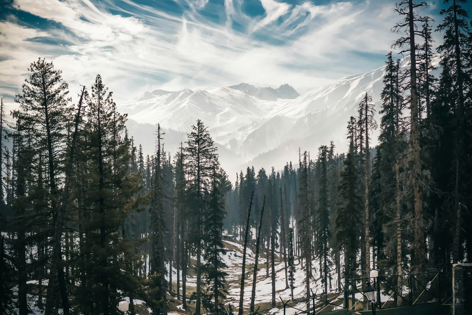 Snow-covered pine forest and mountains at Gulmarg, Kashmir