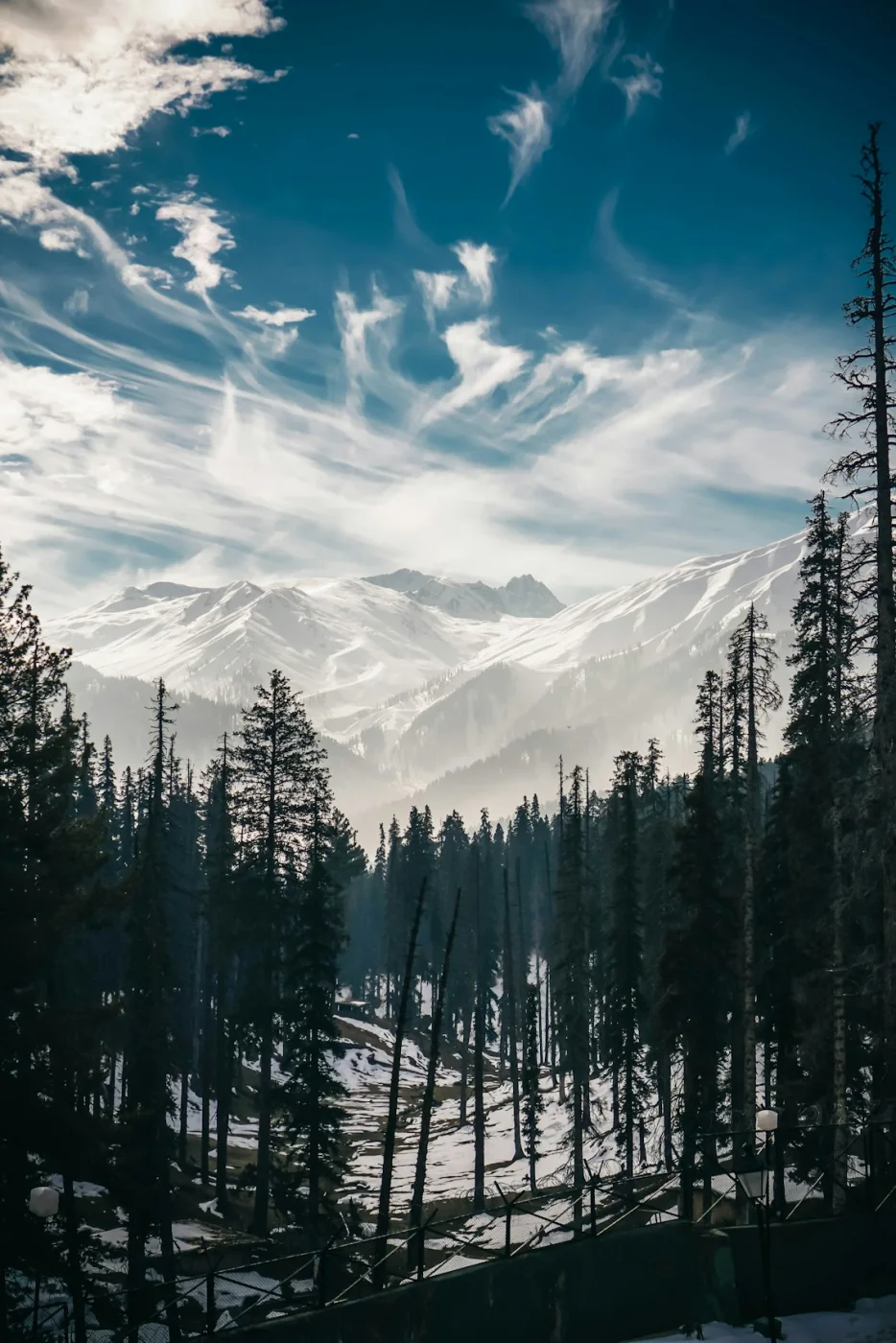 Snow-clad mountains and pines at Gulmarg, Kashmir