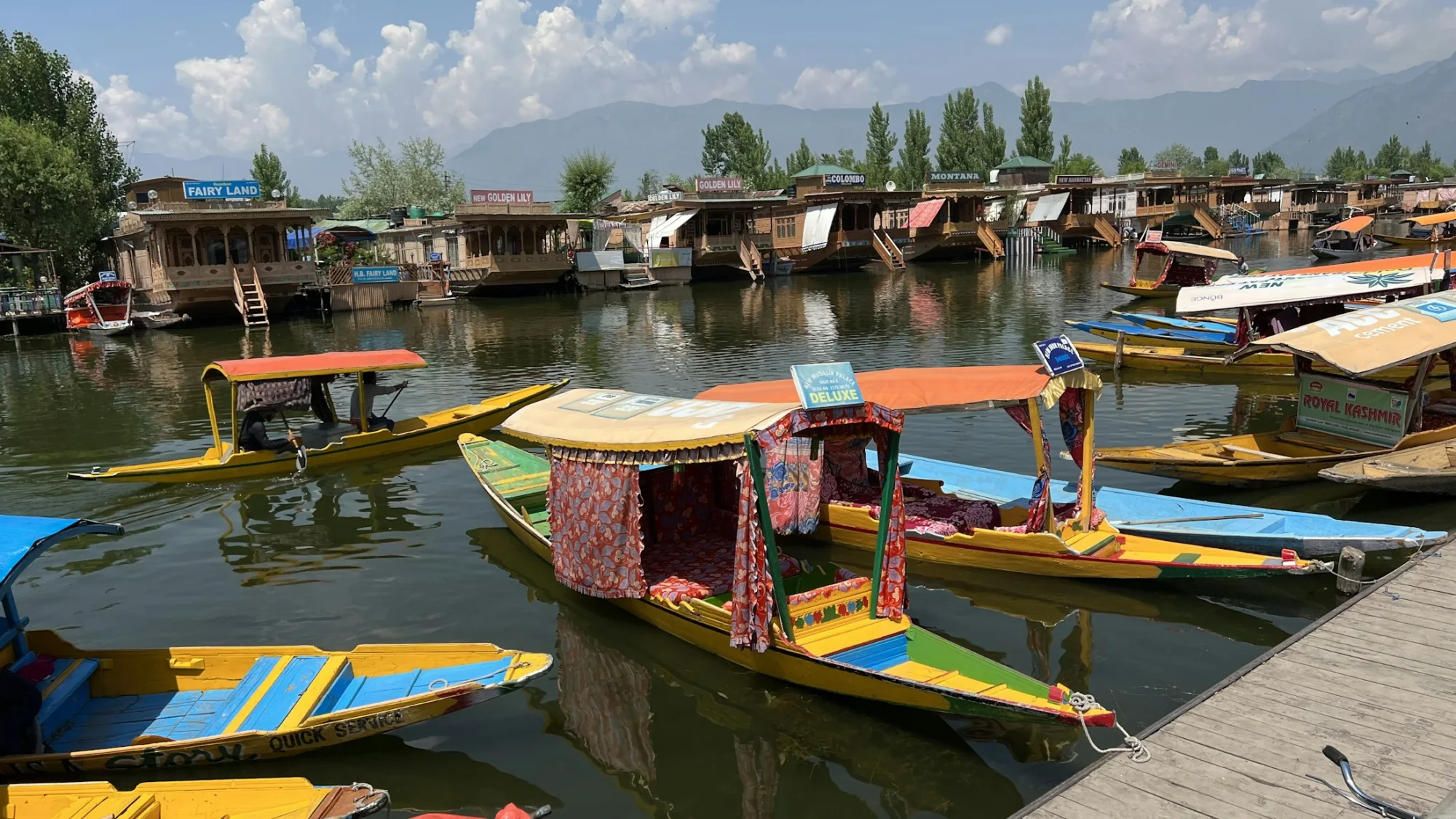 Colourful houseboats and shikaras moored on Dal Lake, Srinagar