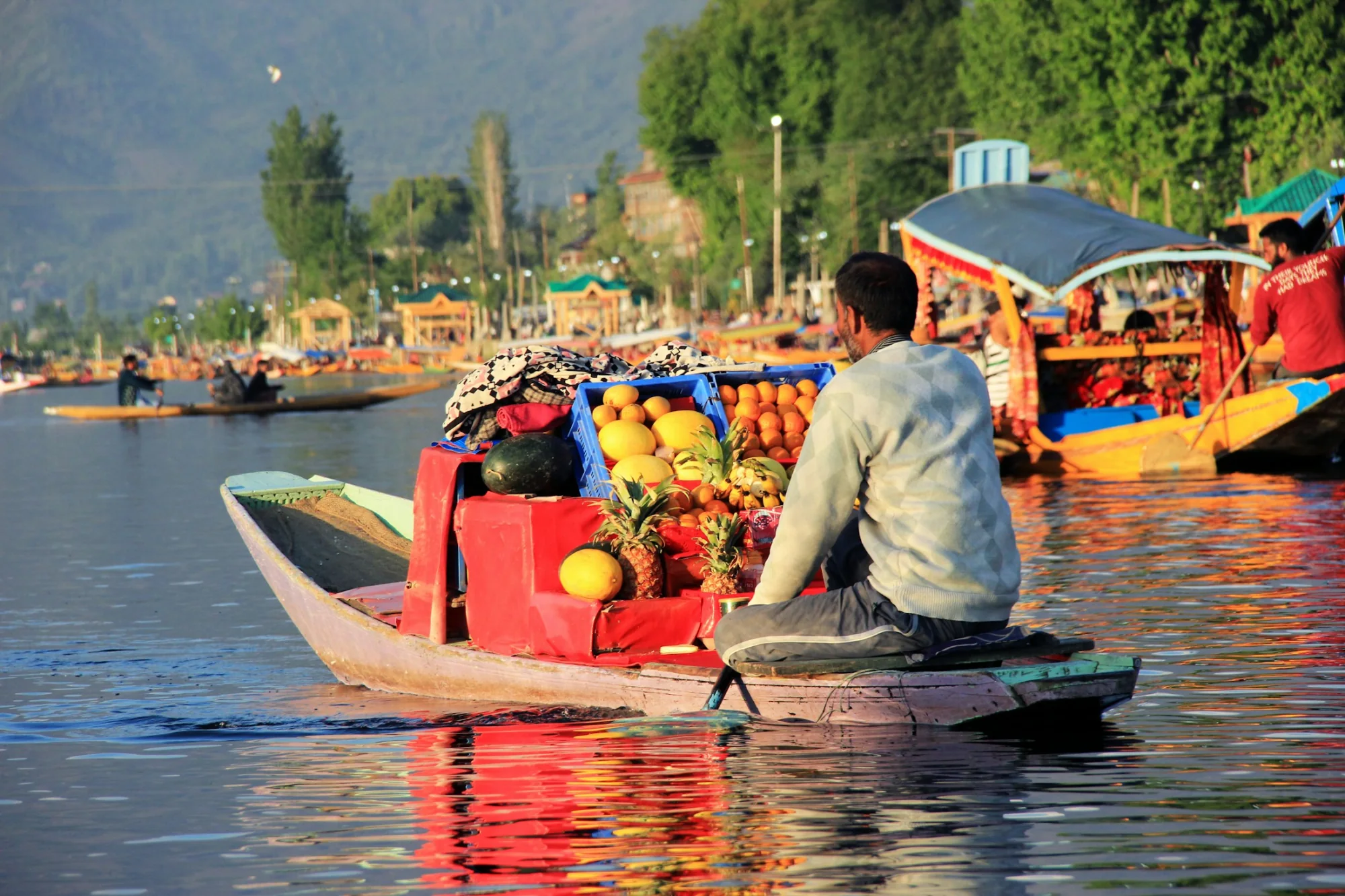 Kashmir