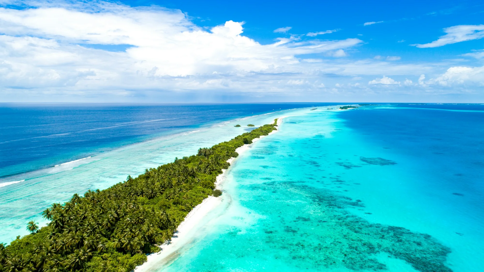 Aerial view of a Maldivian island and reef