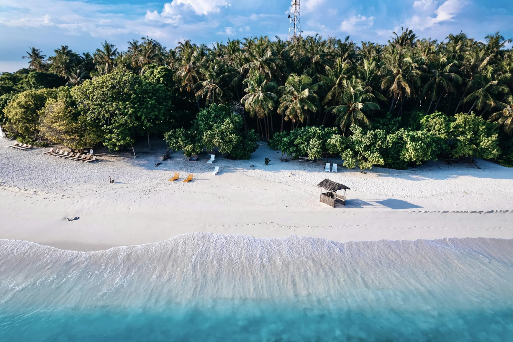 Aerial view of a palm-fringed island and beach in the Maldives