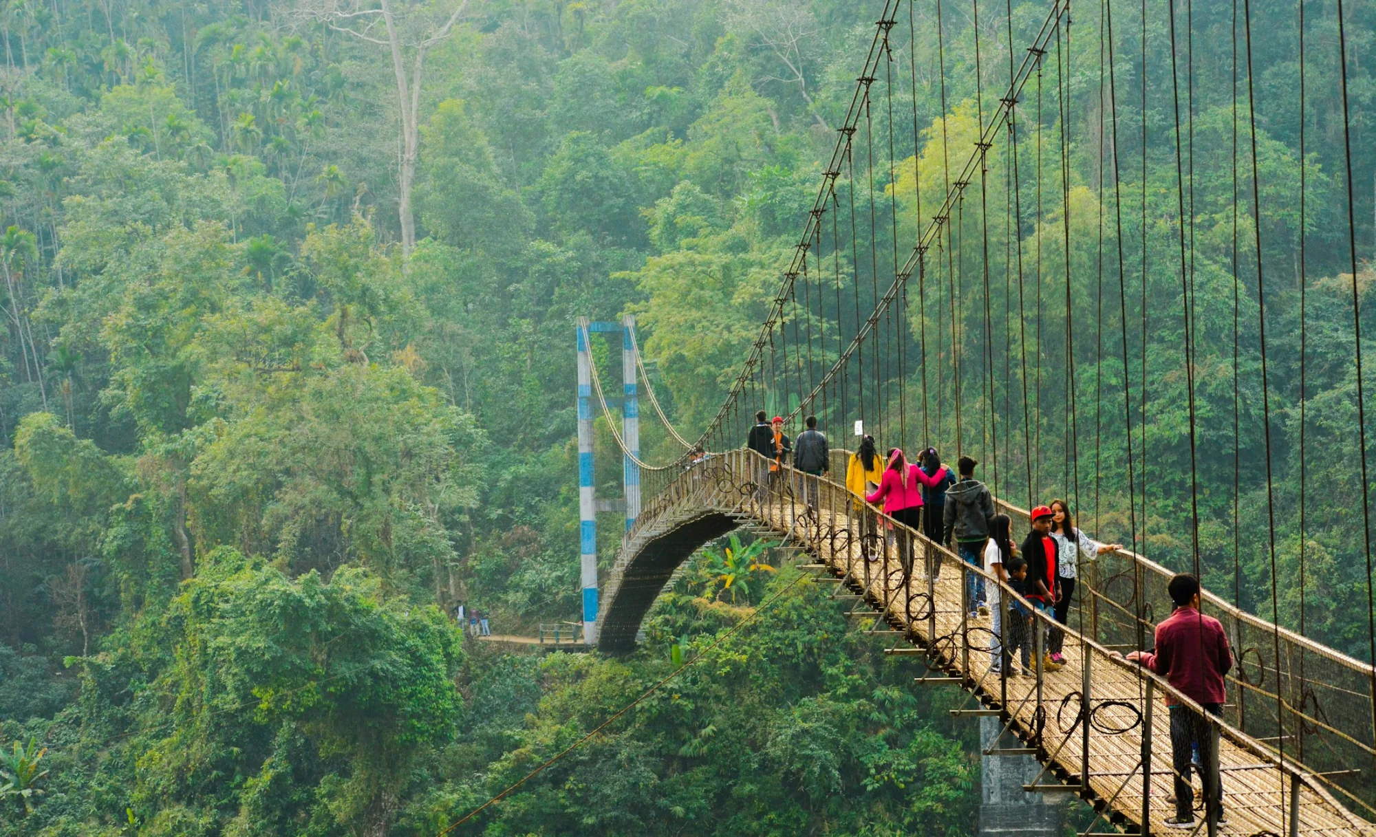 People crossing a hanging root bridge in the forests of Meghalaya