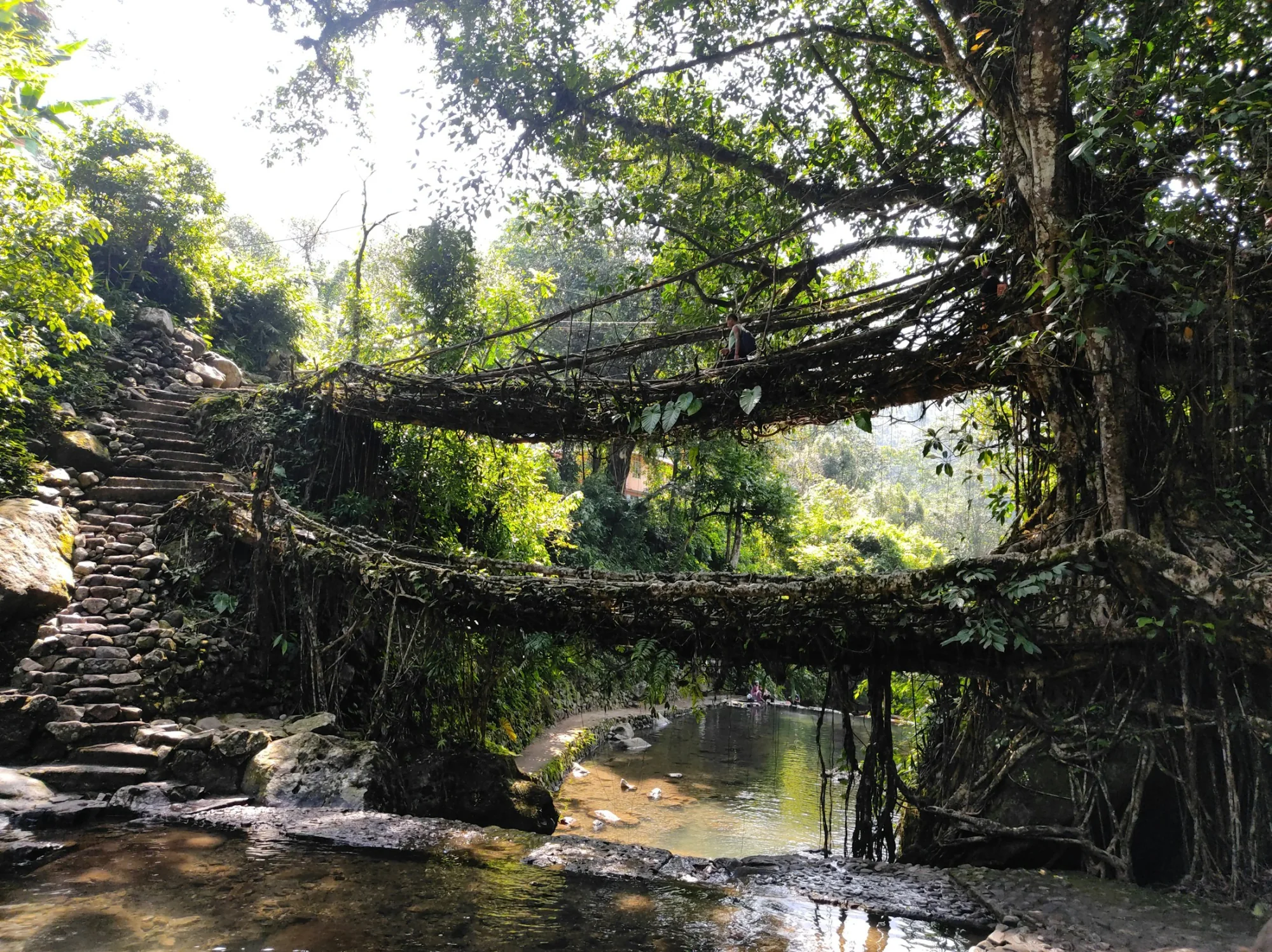 Meghalaya