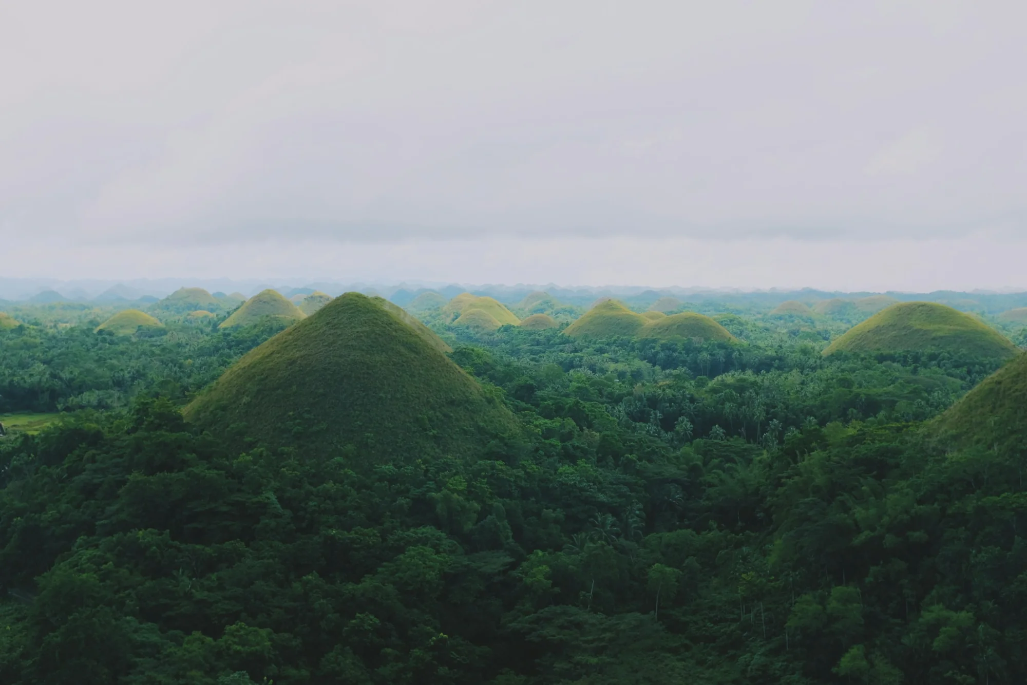 The Chocolate Hills of Bohol, Philippines