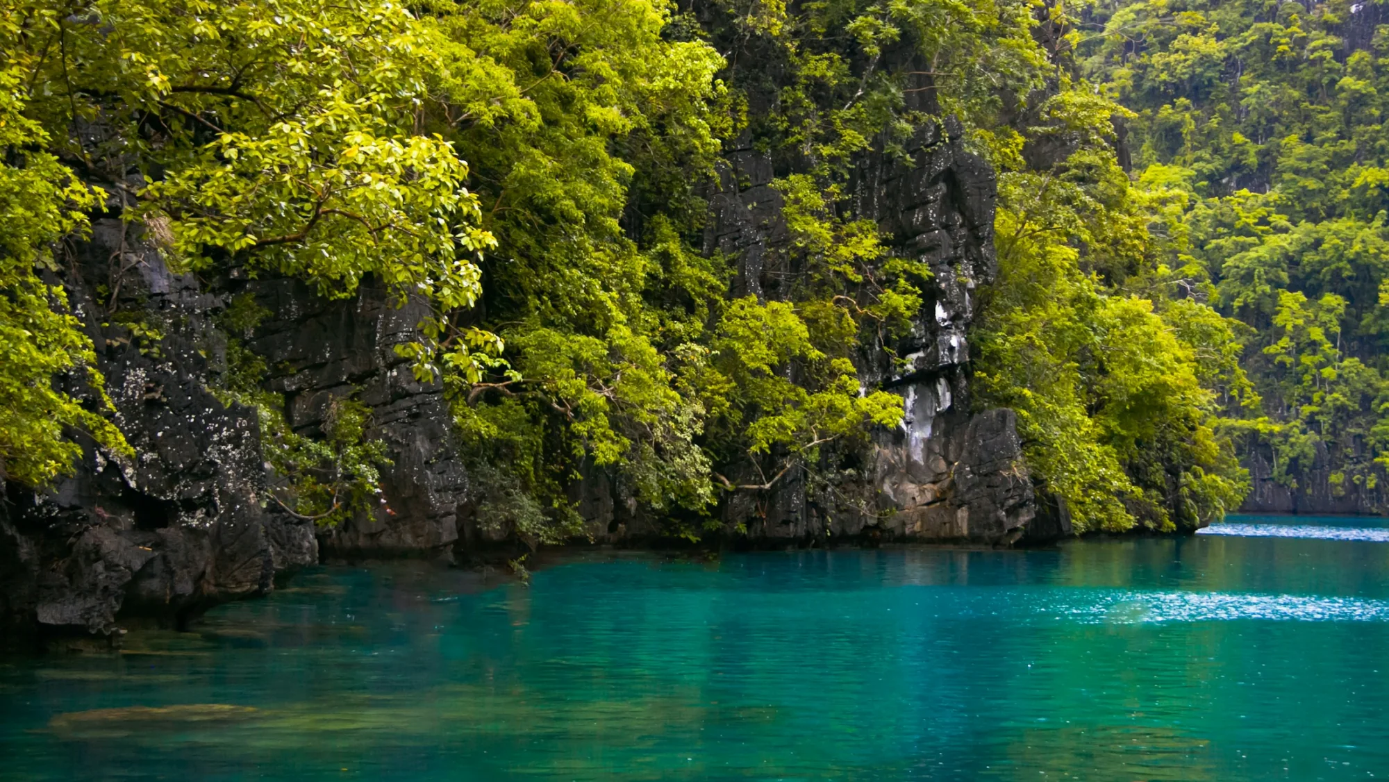 Limestone karsts and clear water at Coron, Palawan, Philippines