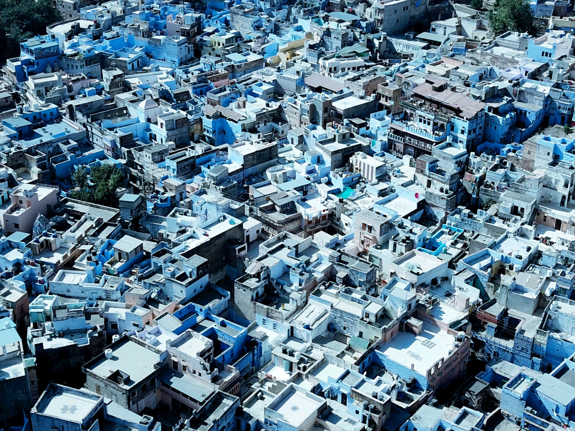 The blue-painted houses of the old city of Jodhpur, Rajasthan