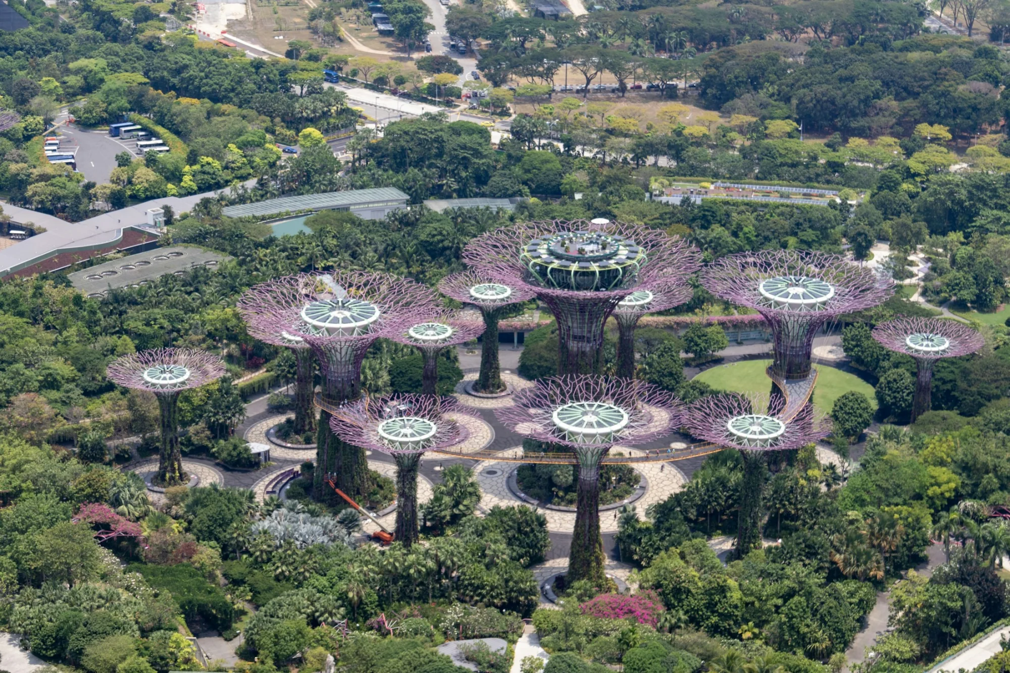The Supertree Grove at Gardens by the Bay, Singapore