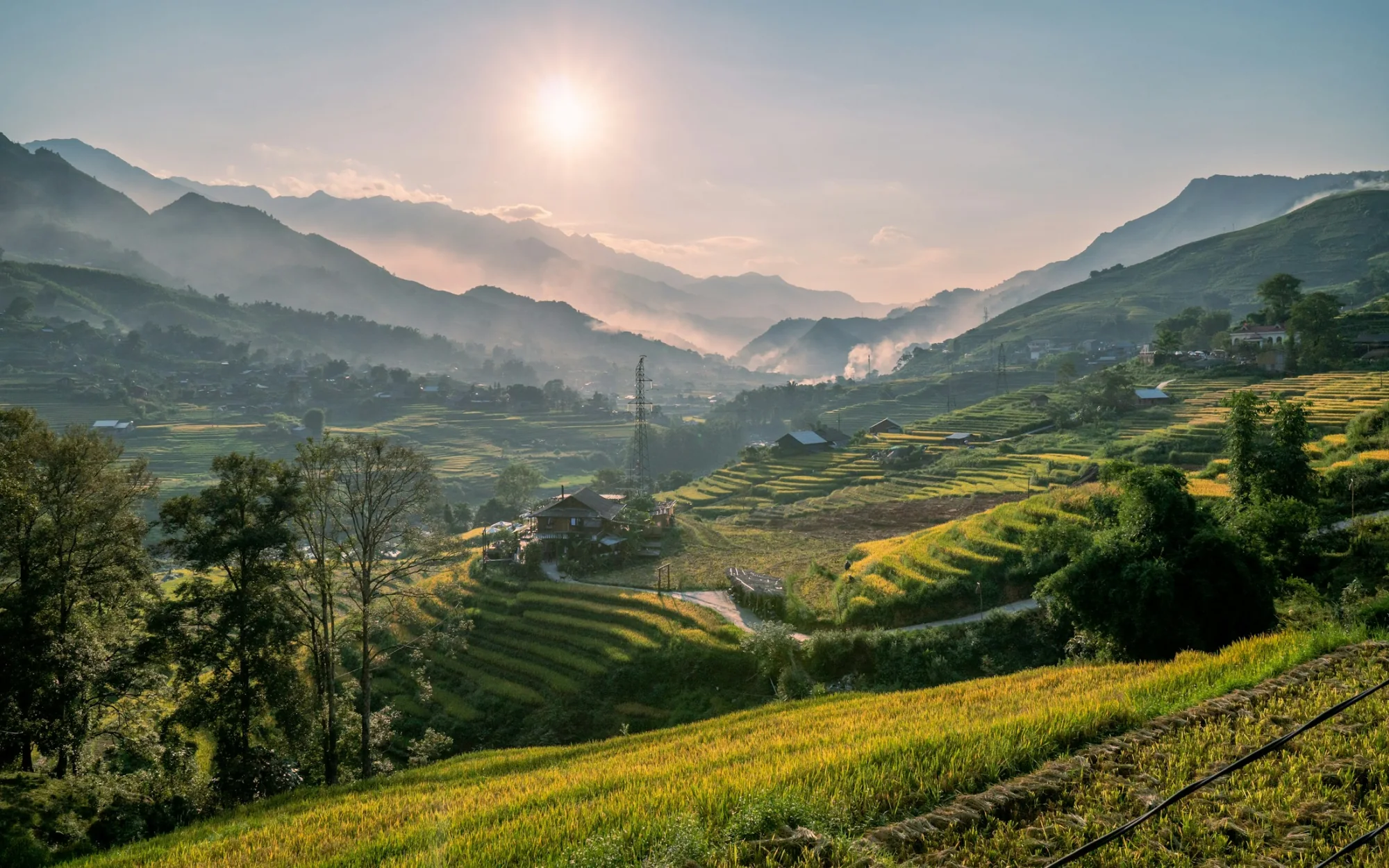 Green rice terraces in the valleys of Sapa, Vietnam